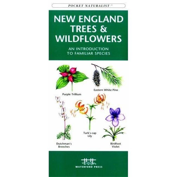 Waterford Press New England Trees amp; Wildflowers Book WFP1583551745